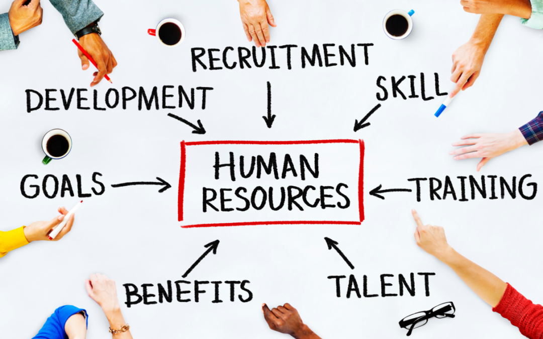 Why Hire a Fractional Human Resources Professional