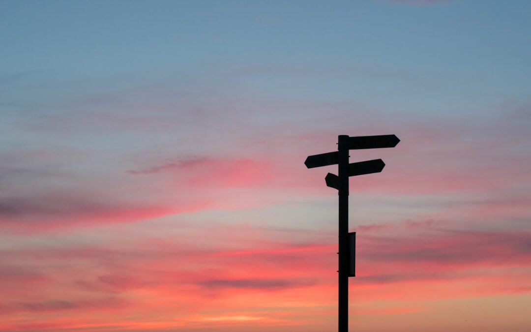 silhouette of road signage during golden hour